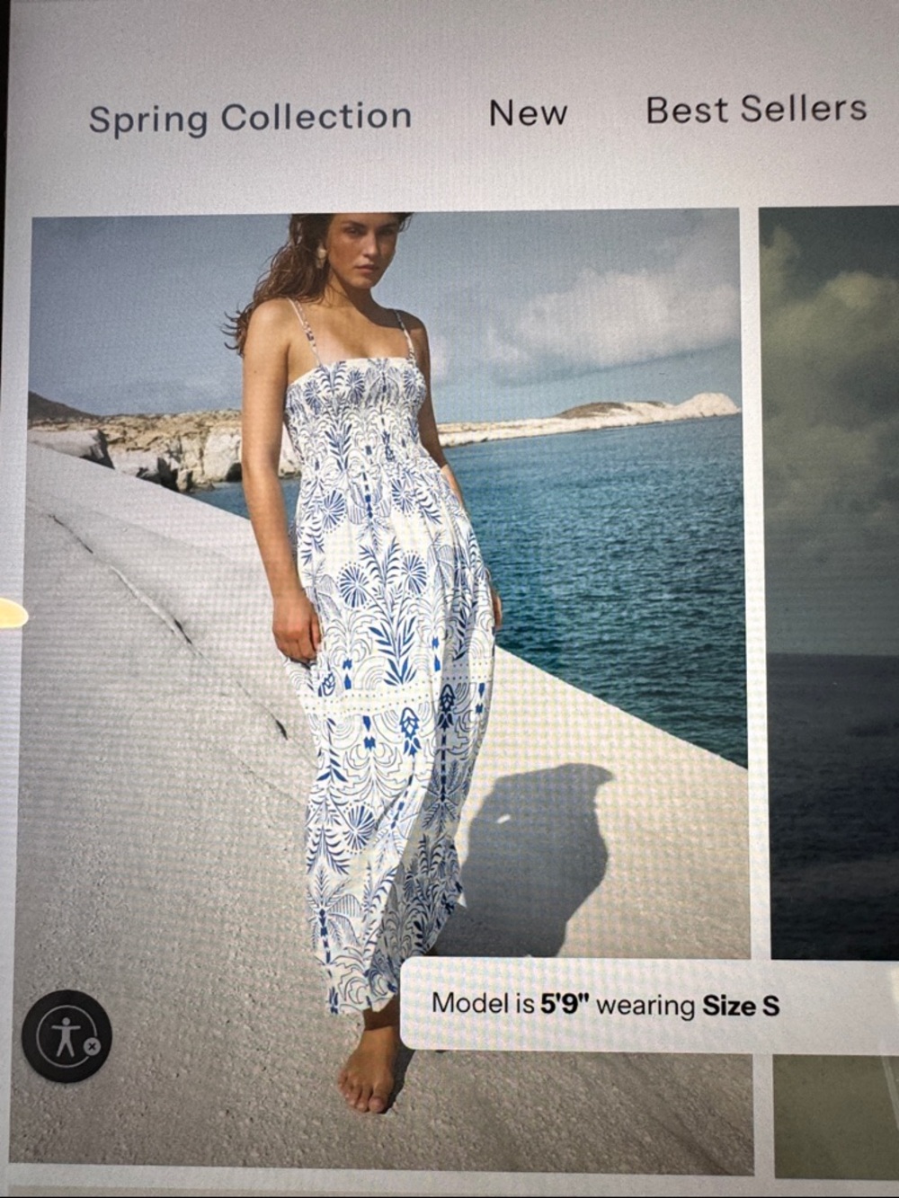 Z Supply Blue and White Printed Maxi Dress